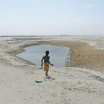 Drying Ponds Trigger Seasonal Migration as Cholistan Faces Acute Water Shortage