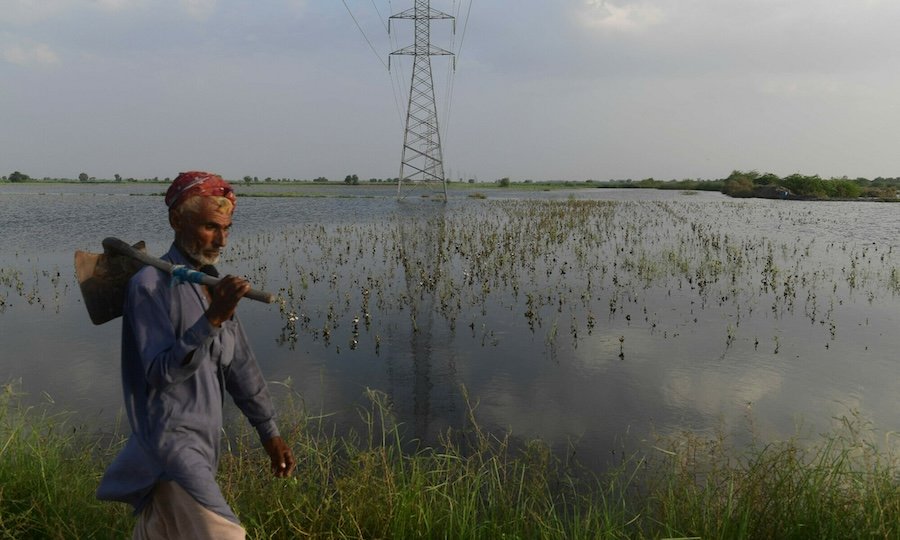 FAO to Provide Crop-Specific Climate Advisories to Farmers Under Climate Resilient Agriculture Plan