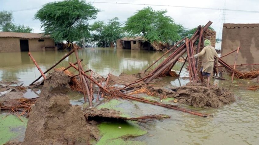 Sindh and NDMA Strengthen Coordination for Flood, Urban Flooding and Heatwave Preparedness